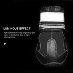 Waterproof Dog Walking Boots