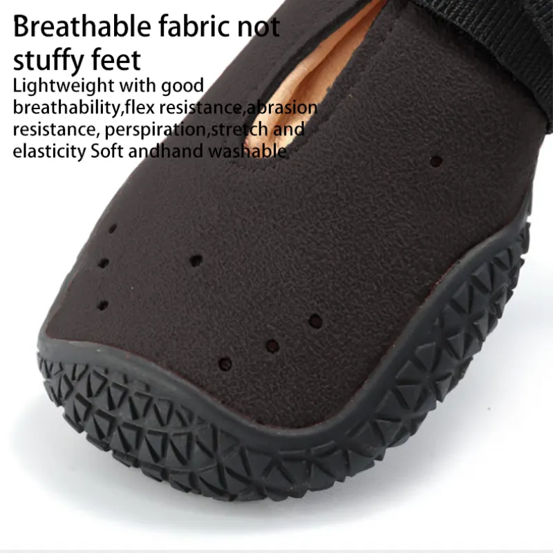 Dog Walking Shoes