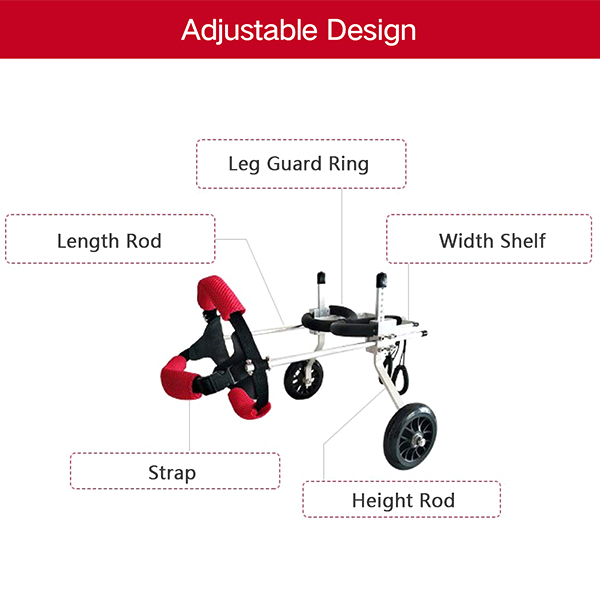 Dog Wheelchairs for Dog Back Legs Paralyzed