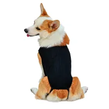 DOGLEMI Back Brace for Dogs With IVDD01