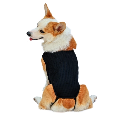 DOGLEMI Back Brace for Dogs With IVDD 02