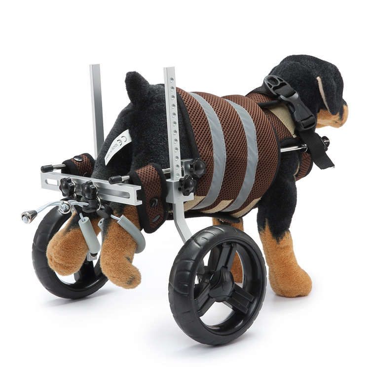 Dog Wheelchairs For Disabled Dogs Crawlpaw