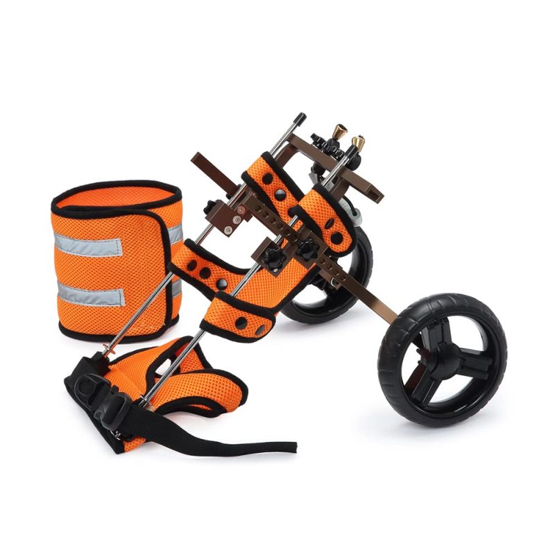 Dog Wheelchairs For Disabled Dogs