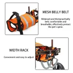 Dog Wheelchairs For Disabled Dogs