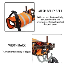 Dog Wheelchairs For Disabled Dogs02