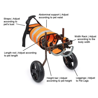 Dog Wheelchairs For Disabled Dogs 02