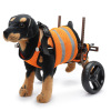 Dog Wheelchairs For Disabled Dogs