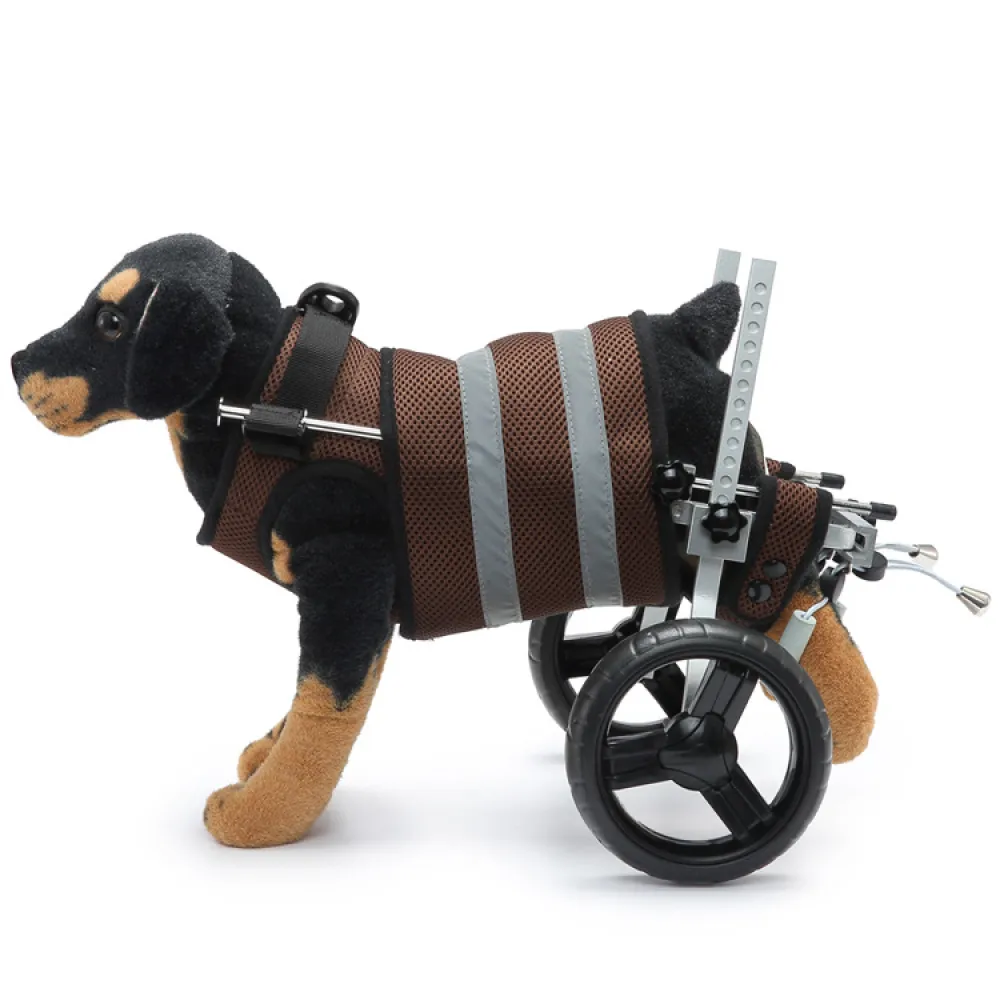 Dog Wheelchairs For Disabled Dogs