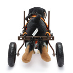 Dog Wheelchairs For Disabled Dogs