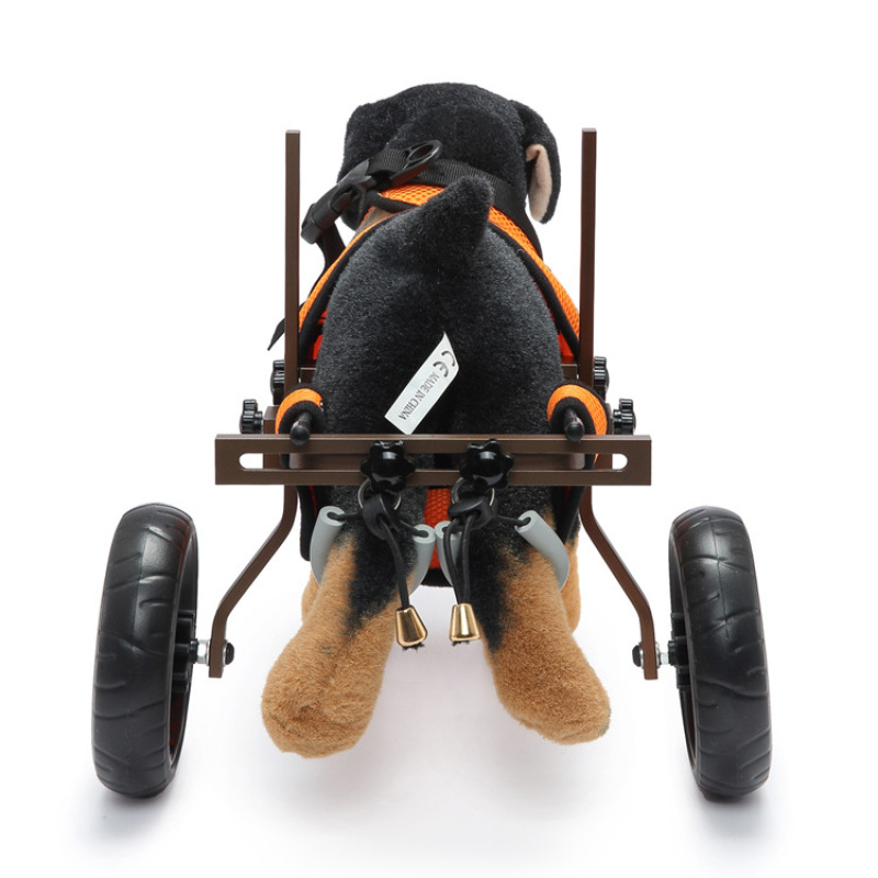 Dog Wheelchairs For Disabled Dogs