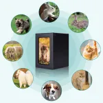 Pet Urns For Dogs