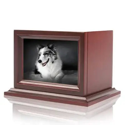 Dog Urns With Photo Frame 01