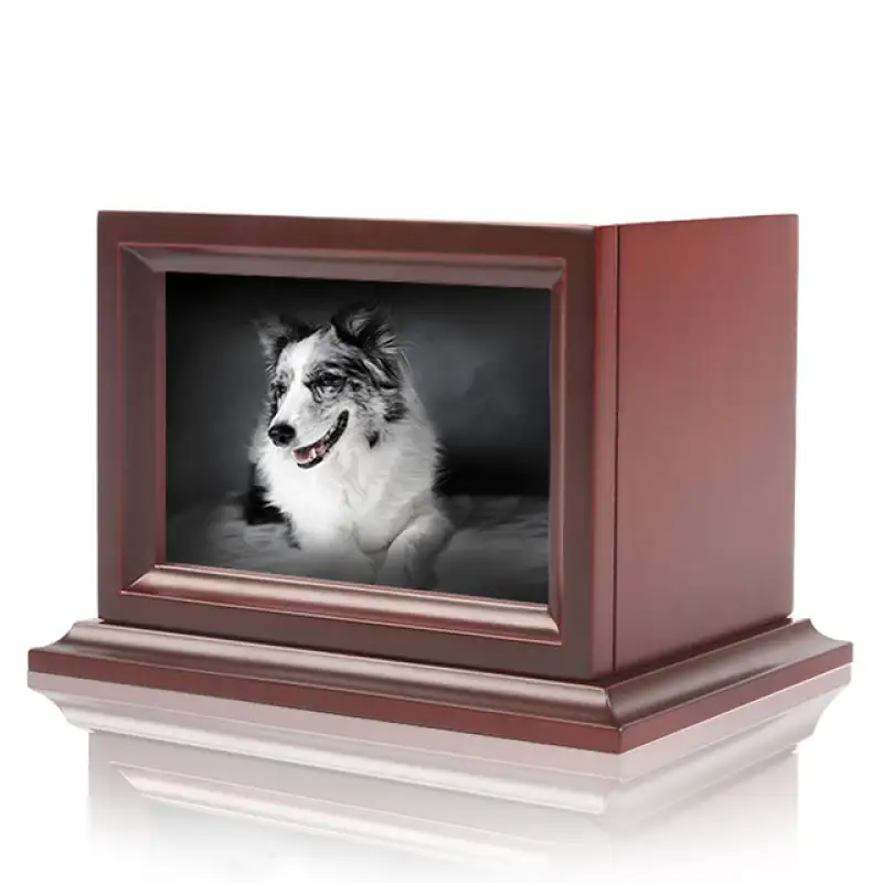 Dog Urns With Photo Frame00
