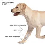 Dog Leg Braces for Fix Front Carpus Sprains