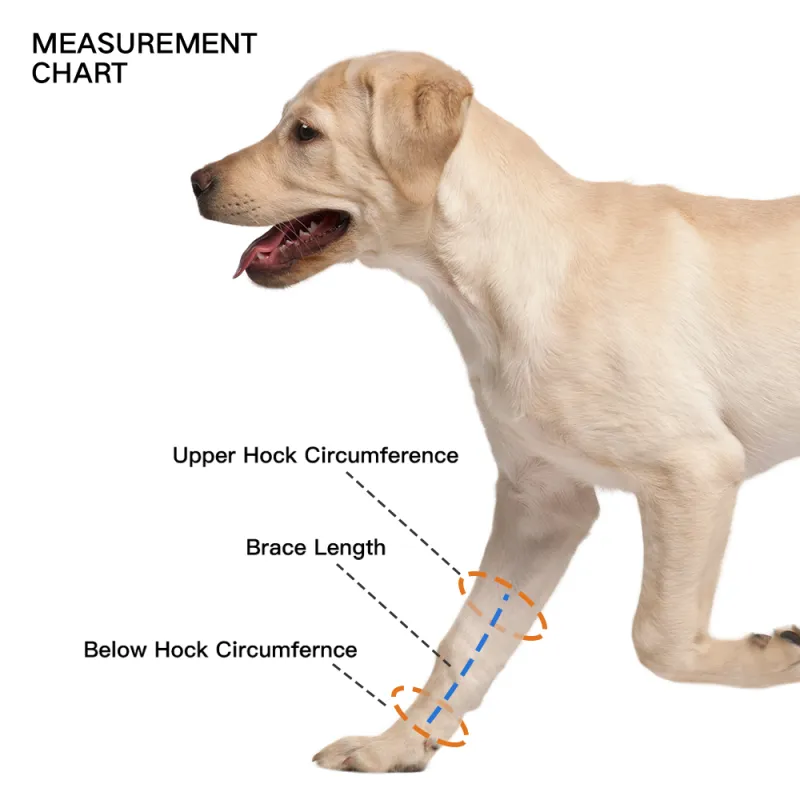 Dog Leg Braces for Fix Front Carpus Sprains