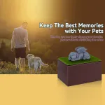 Wooden Dog Urns With Dog Figurine