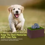 Wooden Dog Urns With Dog Figurine