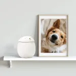 Ceramic Cat Cremation Urns With Seal Lid