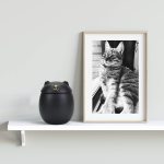 Ceramic Cat Cremation Urns With Seal Lid