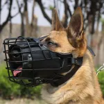 Dog Training Muzzle For Military