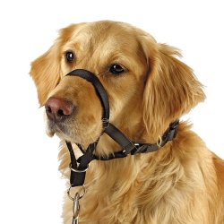 Adjustable Nylon Dog Muzzle