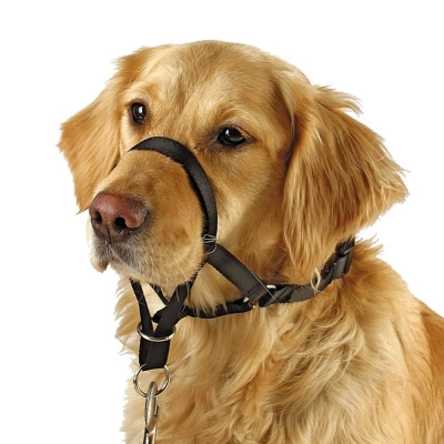 Adjustable Nylon Dog Muzzle 01