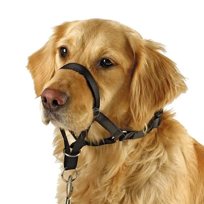 Adjustable Nylon Dog Muzzle 01