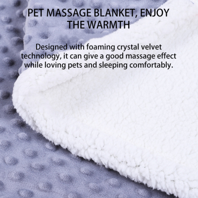 Warm Dog Bed Blanket 02
