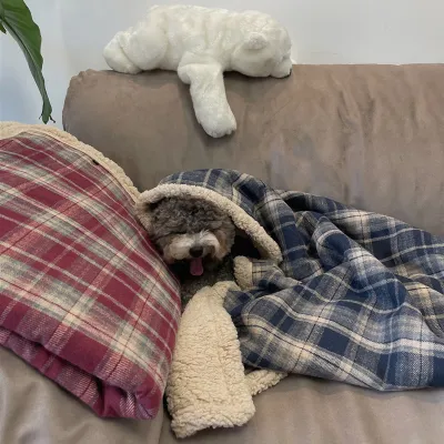 Plaid Dog Bed Blanket 02