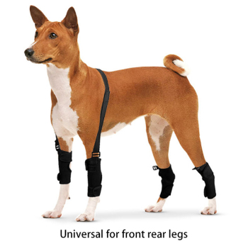 Dog Leg Braces for Fix Hock Wrist Joints Sprains