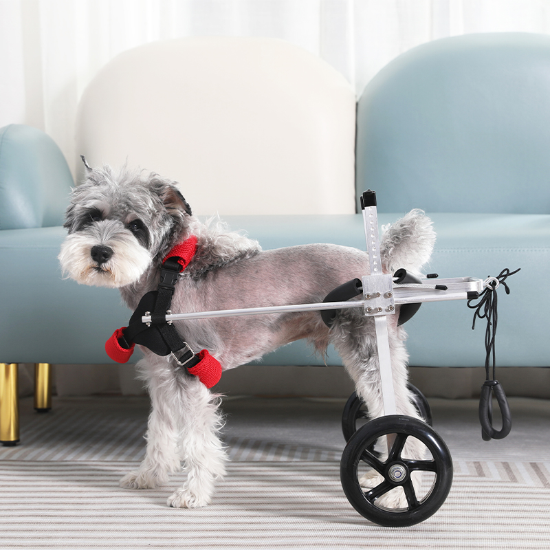 Dog Wheelchairs for Dog Back Legs Paralyzed Crawlpaw