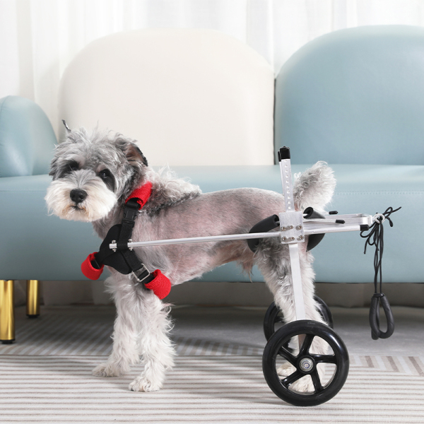 Dog Wheelchairs for Dog Back Legs Paralyzed