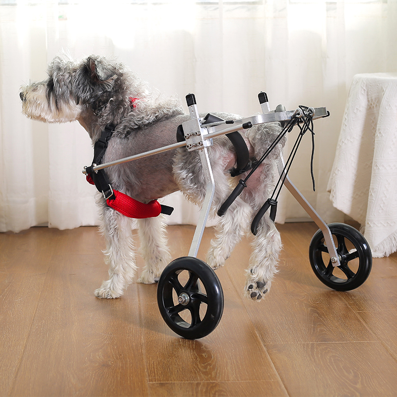Dog Wheelchairs for Dog Back Legs Paralyzed Crawlpaw
