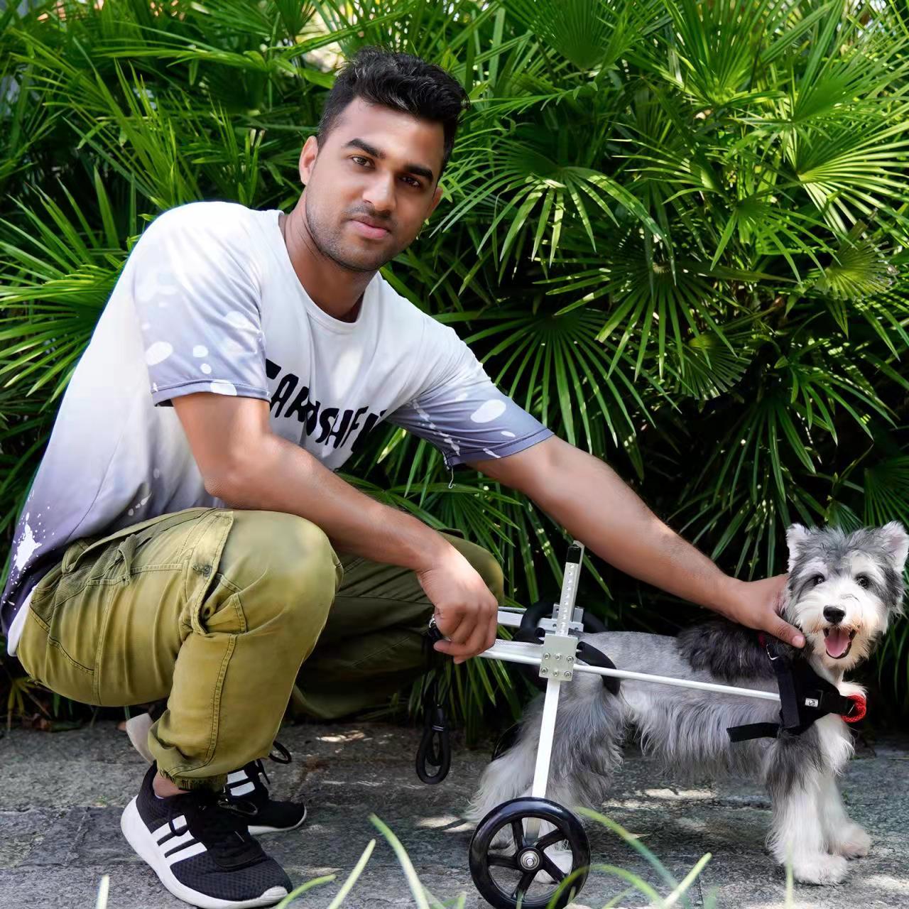 Dog Wheelchairs for Dog Back Legs Paralyzed