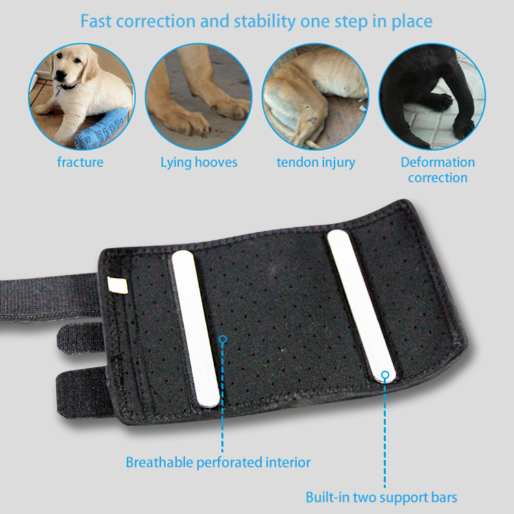 Dog Carpal Brace For Support
