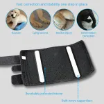 Dog Carpal Brace For Support