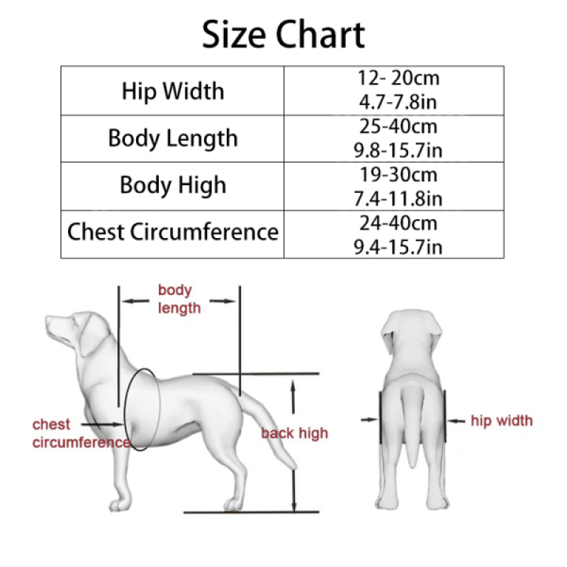 Dog Wheelchairs For Disabled Dogs