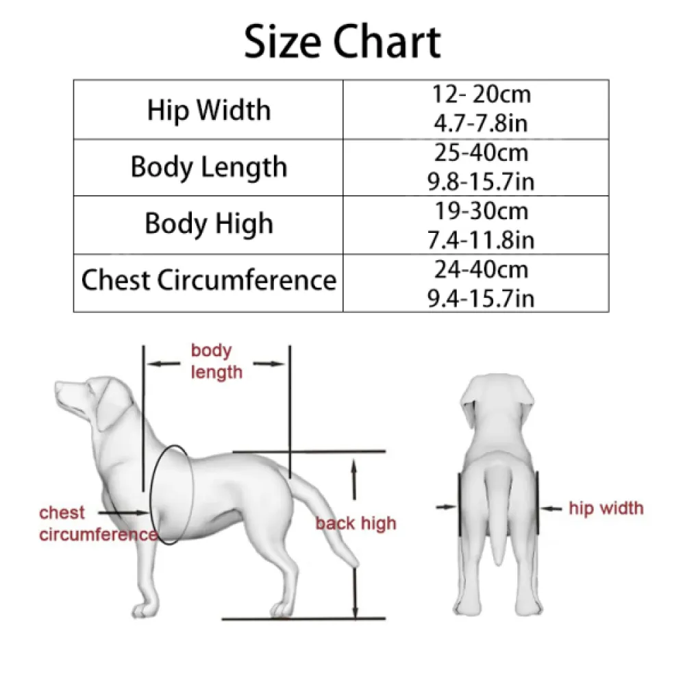 Dog Wheelchairs For Dog Back Legs Disability