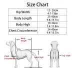 Dog Wheelchairs For Dog Back Legs Disability