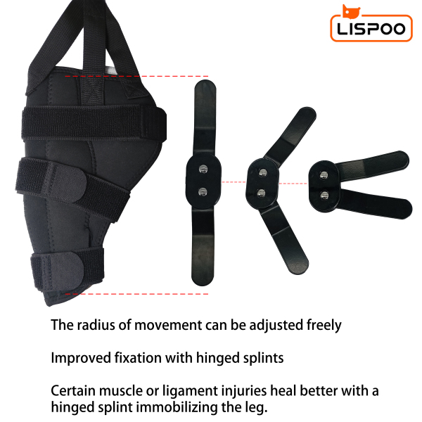 LISPOO Dog Knee ACL Brace With Metal Splint Hinged Flexible Support