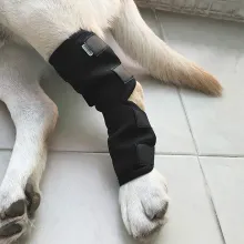 DOGLEMI Dog Hock Braces Fix Hock Joint Damage05