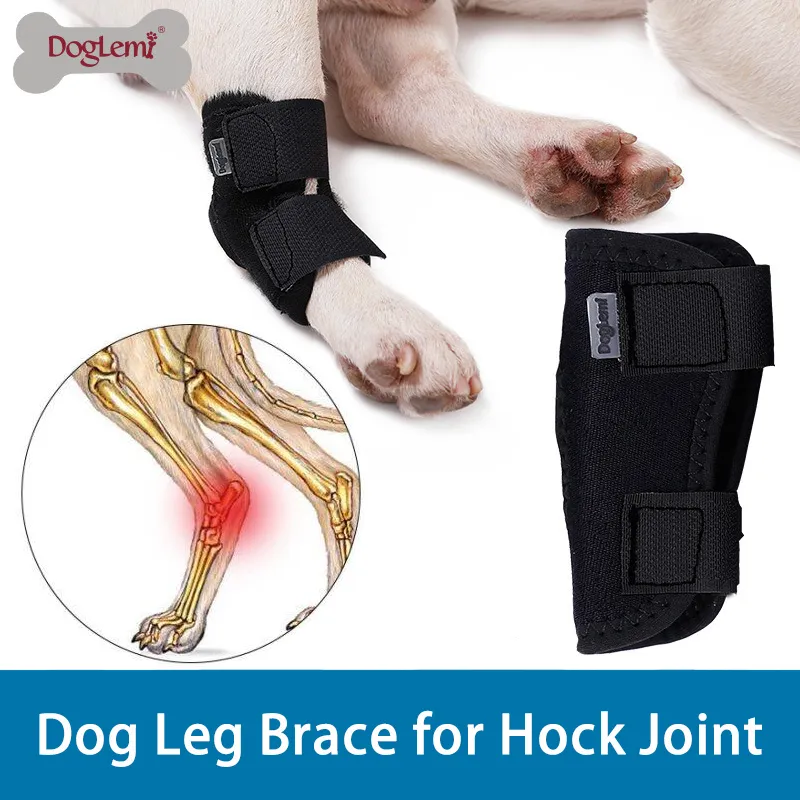 DOGLEMI Dog Leg Brace for Hock Joint Damage01