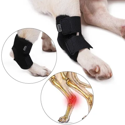 DOGLEMI Dog Leg Brace for Hock Joint Damage 01