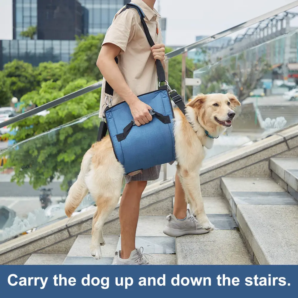 Dog Lift and Mobility Support Harness