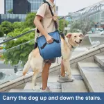 Dog Lift and Mobility Support Harness