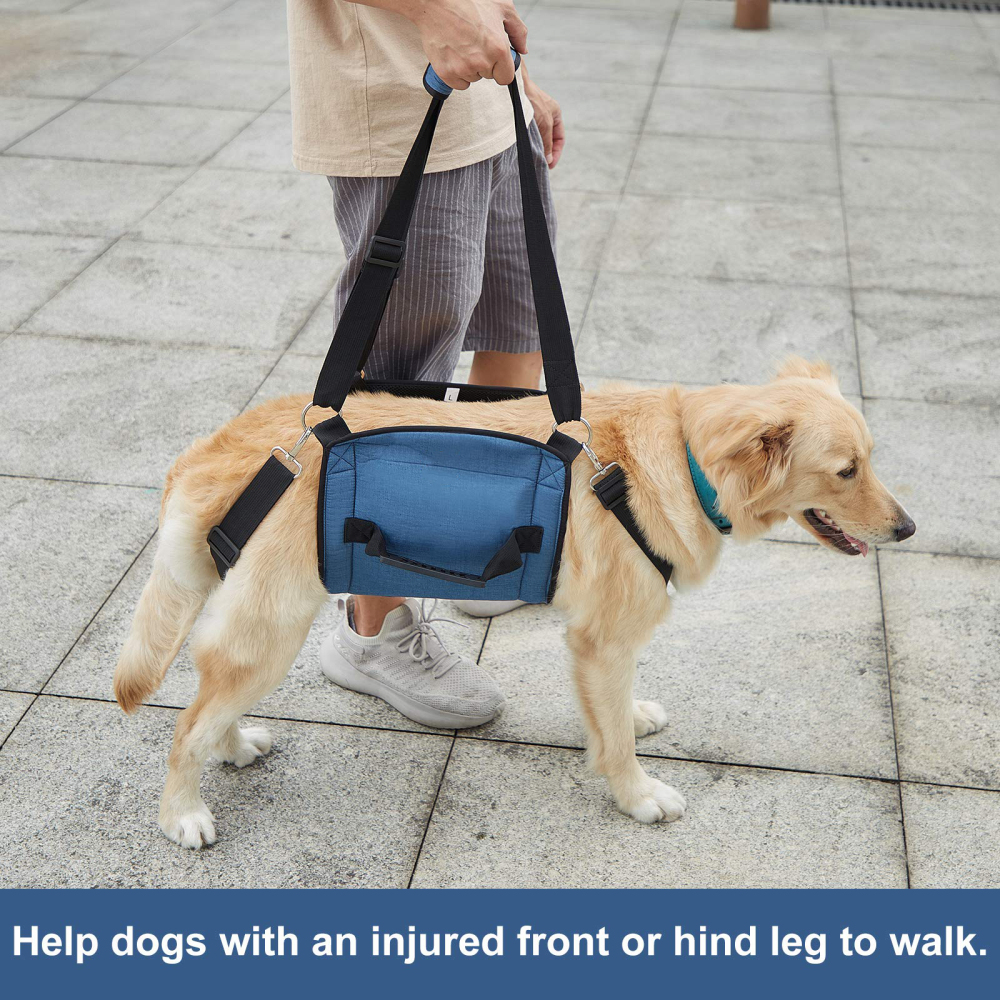 Dog Lift and Mobility Support Harness