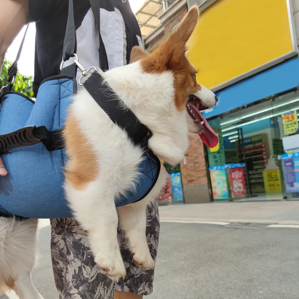 Dog Lift and Mobility Support Harness