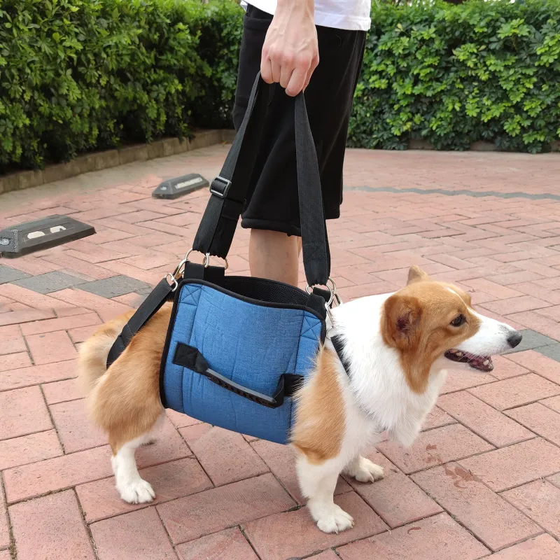 Dog Mobility Support Sling for Waist06