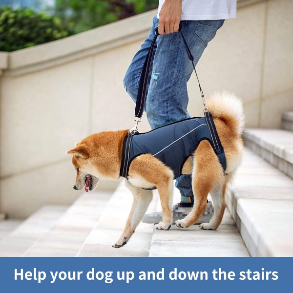 Full Body Dog Lift Harness
