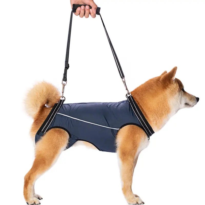 Full Body Dog Lift Harness00